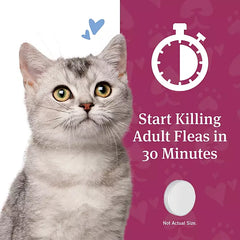 PetArmor CapAction Oral Flea Treatment for Cats Retailoutlet