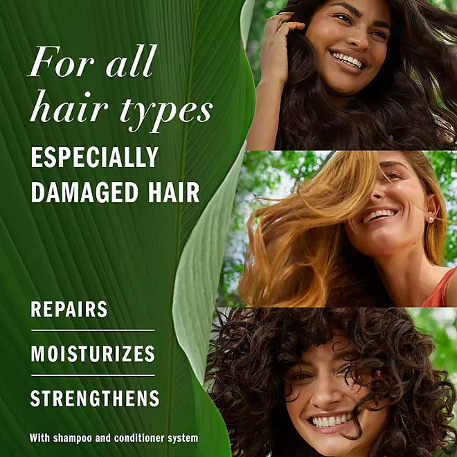 Herbal Essences Argan Oil & Green Tea Shampoo Retail Outlet