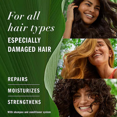 Herbal Essences Argan Oil & Green Tea Shampoo Retail Outlet