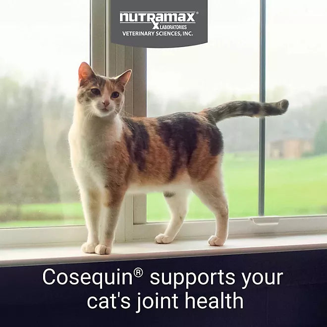 Nutramax Cosequin Joint Health Supplement for Cats Retailoutlet