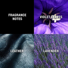 Curve Black For Men, Cologne Spray with Casual Day or Night Scent, 4.2 Retail Outlet