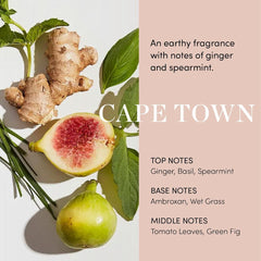 OUAI Scalp Serum – Hydrating Leave-In Treatment with Hyaluronic Acid & Adaptogens for Thicker, Fuller, Healthier Hair (2 fl. oz.)