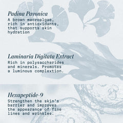 ELEMIS Pro-Collagen Night Cream – Ultra Rich Nightly Facial Moisturizer (50 ml)