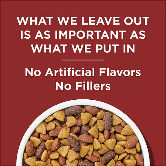 Purina Dog Chow Complete Beef Flavor