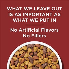 Purina Dog Chow Complete Beef Flavor