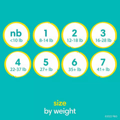 Pampers Swaddlers Diapers, Sizes Newborn–8