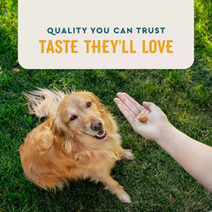 VetIQ Flea & Tick Soft Chew Supplement for Dogs Retailoutlet