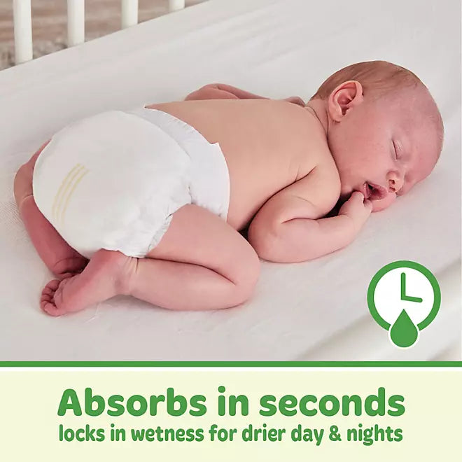 Member's Mark Premium Baby Diapers, Sizes: Newborn - 7