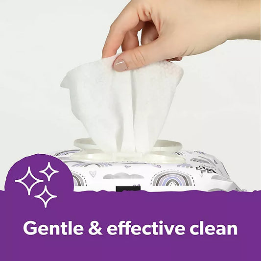 Member's Mark Premium Baby Wipes, Fragrance Free, 12 pk., 1,152 Wipes