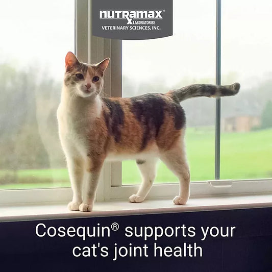 Nutramax Cosequin Joint Health Supplement for Cats