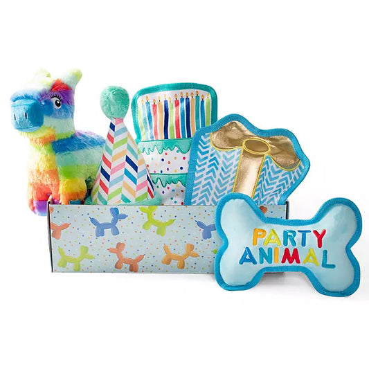 Arm & Hammer Dental Dog Toys