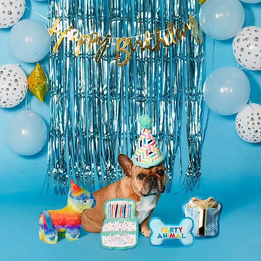 Party Animal Birthday Dog Toy Bundle
