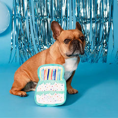 Party Animal Birthday Dog Toy Bundle