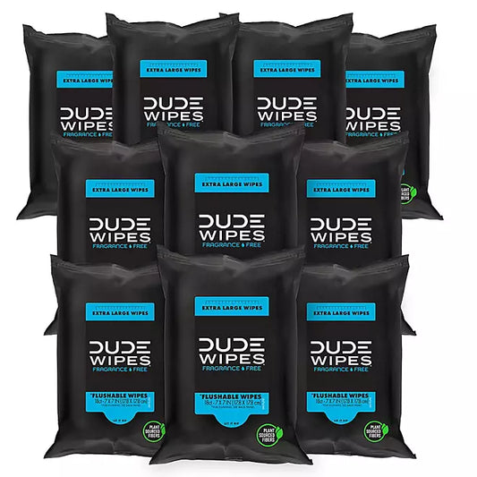DUDE WIPES XL Flushable Wipes, 10 Packs (180 Wipes Total)